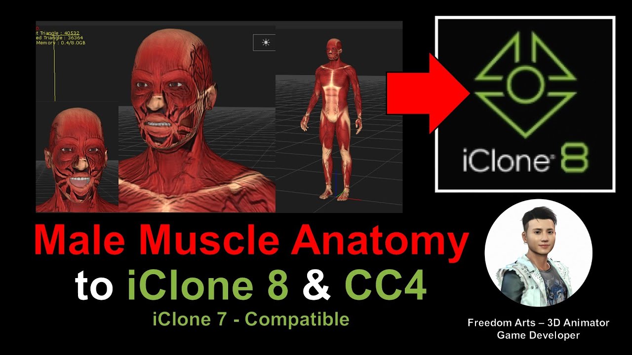 Male Muscle Anatomy to iClone 8 + Character Creator 4 + iClone 7 – Full Tutorial